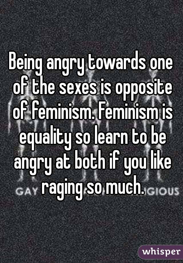 Being angry towards one of the sexes is opposite of feminism. Feminism is equality so learn to be angry at both if you like raging so much.