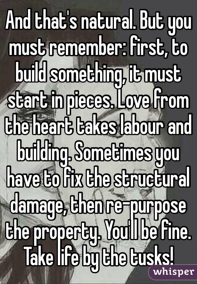 And that's natural. But you must remember: first, to build something, it must start in pieces. Love from the heart takes labour and building. Sometimes you have to fix the structural damage, then re-purpose the property. You'll be fine. Take life by the tusks! 