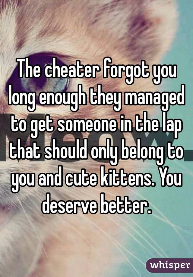 The cheater forgot you long enough they managed to get someone in the lap that should only belong to you and cute kittens. You deserve better. 
