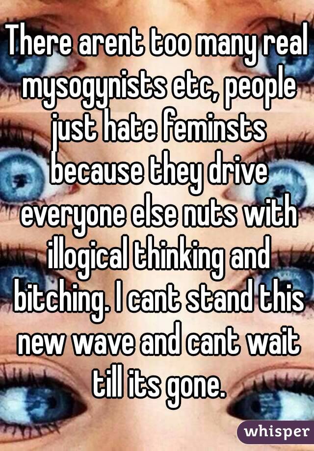 There arent too many real mysogynists etc, people just hate feminsts because they drive everyone else nuts with illogical thinking and bitching. I cant stand this new wave and cant wait till its gone.