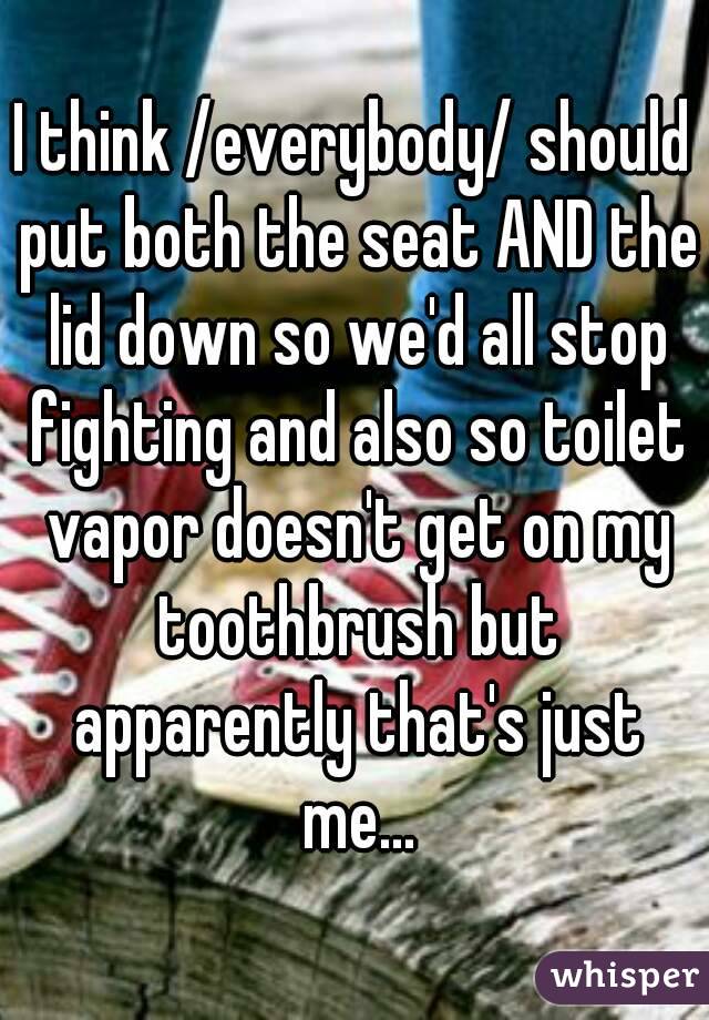 I think /everybody/ should put both the seat AND the lid down so we'd all stop fighting and also so toilet vapor doesn't get on my toothbrush but apparently that's just me...