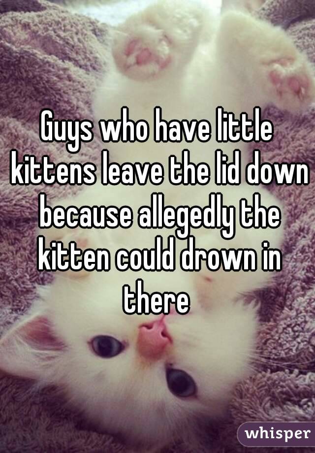 Guys who have little kittens leave the lid down because allegedly the kitten could drown in there 