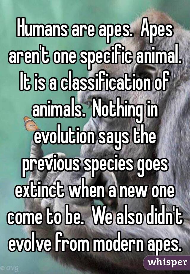 Humans are apes.  Apes aren't one specific animal.  It is a classification of animals.  Nothing in evolution says the previous species goes extinct when a new one come to be.  We also didn't evolve from modern apes. 