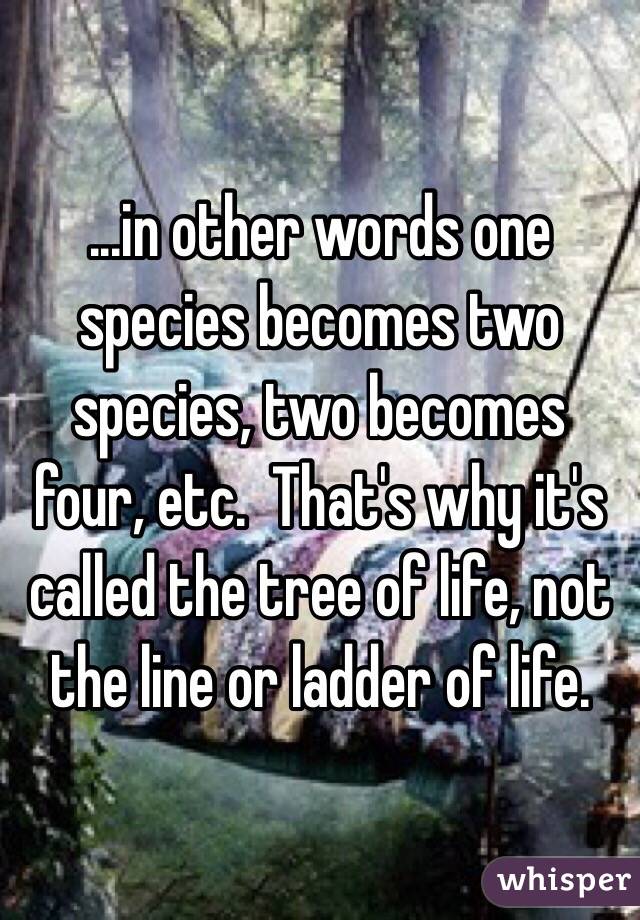 ...in other words one species becomes two species, two becomes four, etc.  That's why it's called the tree of life, not the line or ladder of life. 