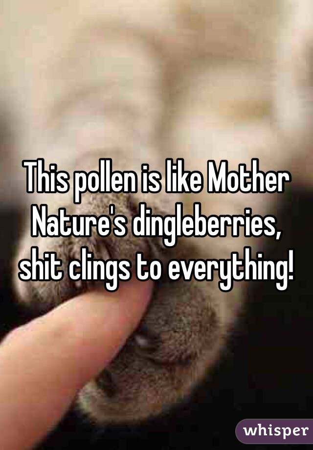 This pollen is like Mother Nature's dingleberries, shit clings to everything!