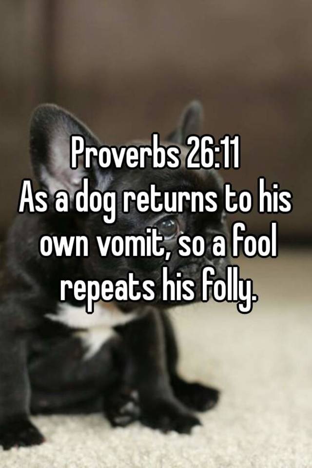 what does the bible say about a dog returning to its vomit