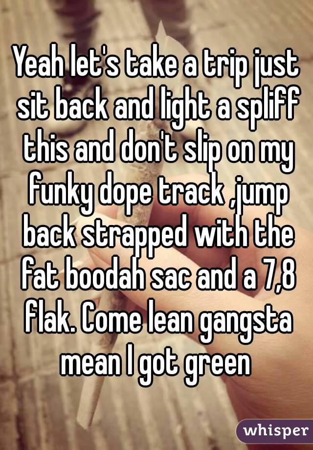 Yeah let's take a trip just sit back and light a spliff this and don't slip on my funky dope track ,jump back strapped with the fat boodah sac and a 7,8 flak. Come lean gangsta mean I got green 