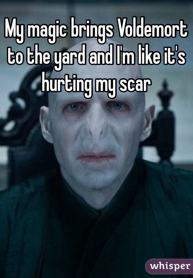 My magic brings Voldemort to the yard and I'm like it's hurting my scar 