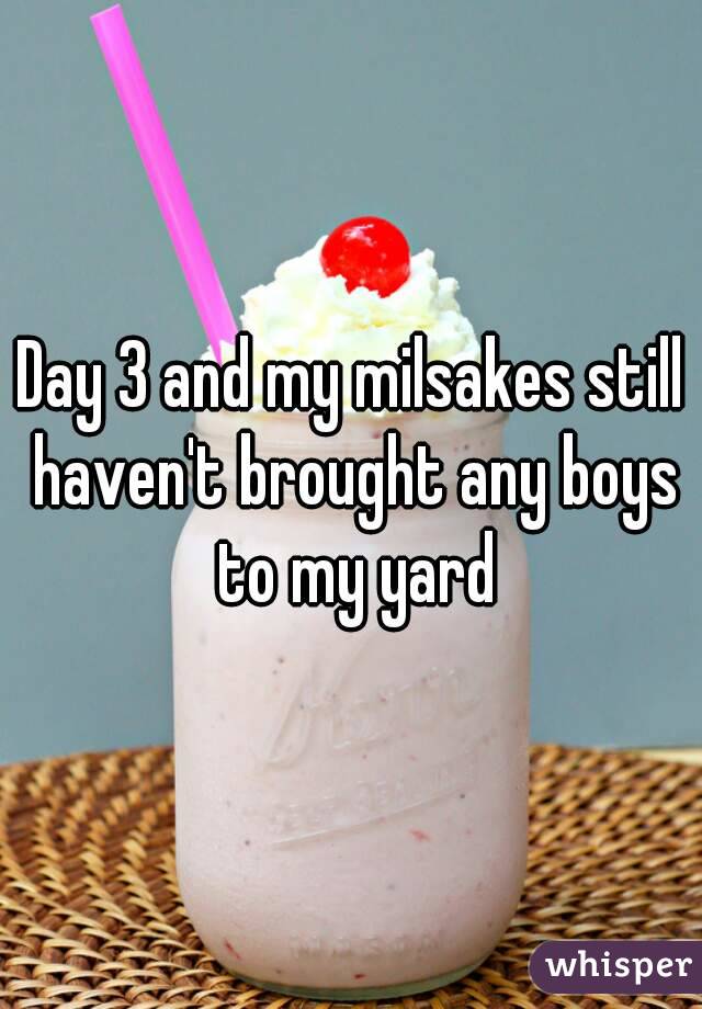 Day 3 and my milsakes still haven't brought any boys to my yard