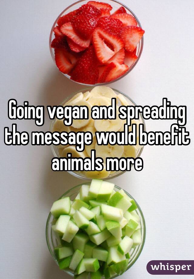 Going vegan and spreading the message would benefit animals more