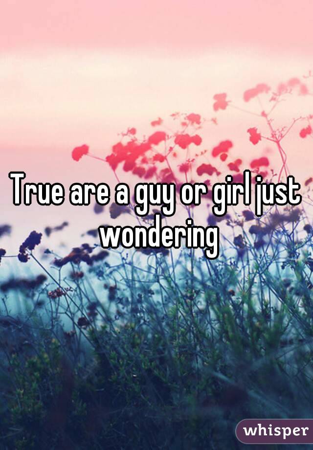True are a guy or girl just wondering
