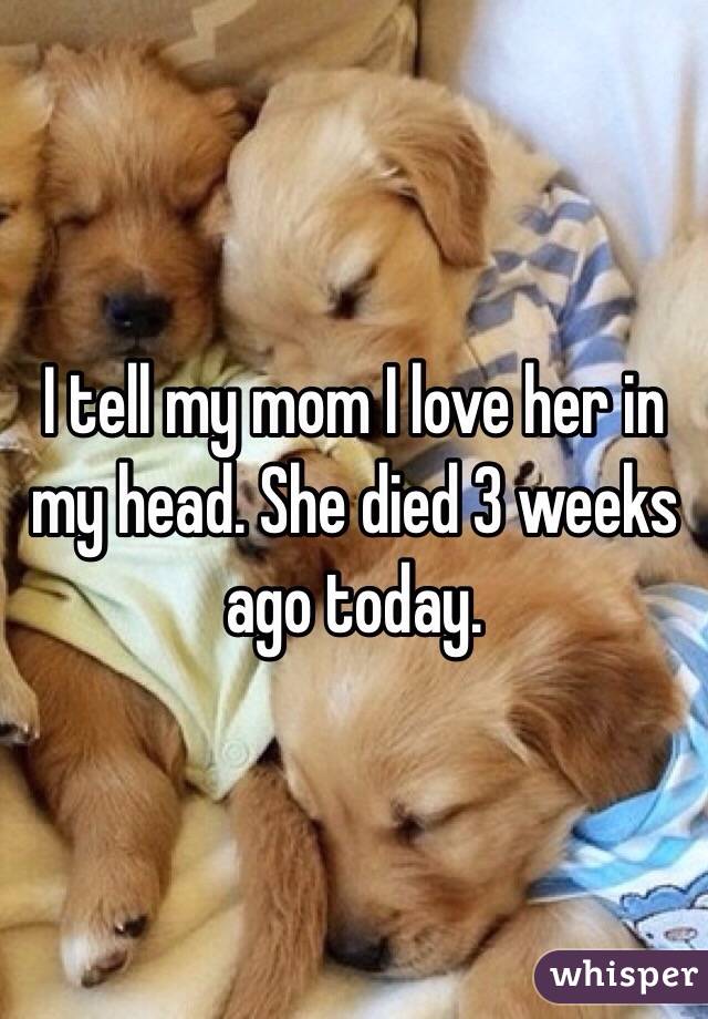 I tell my mom I love her in my head. She died 3 weeks ago today.
