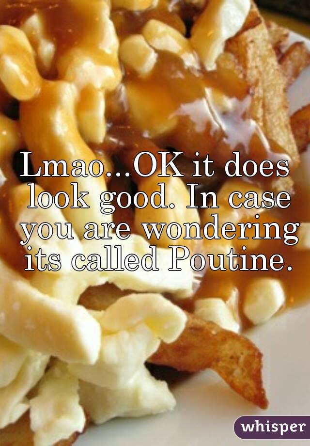 Lmao...OK it does look good. In case you are wondering its called Poutine.

