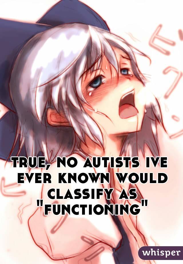 true, no autists ive ever known would classify as "functioning"