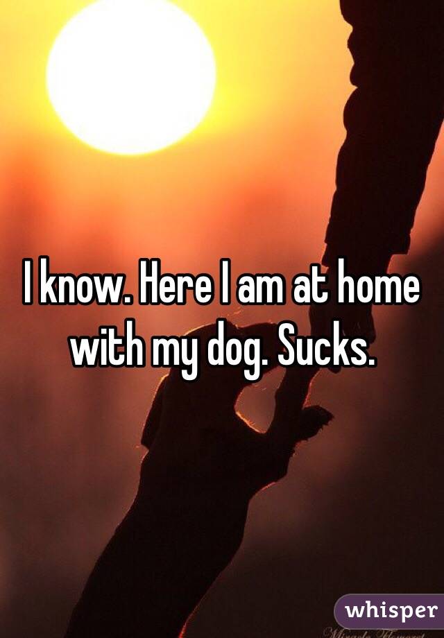 I know. Here I am at home with my dog. Sucks. 