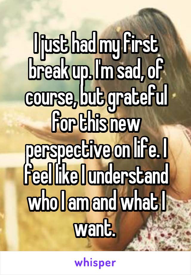 I just had my first break up. I'm sad, of course, but grateful for this new perspective on life. I feel like I understand who I am and what I want. 