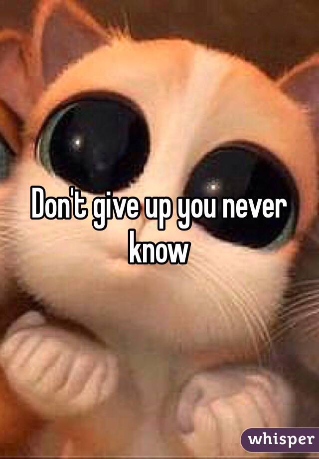 Don't give up you never know