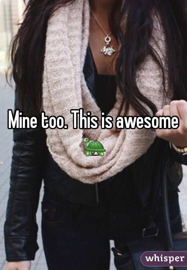 Mine too. This is awesome 🐢