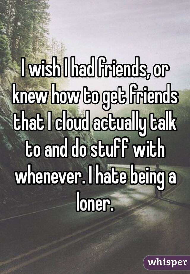 I wish I had friends, or knew how to get friends that I cloud actually talk to and do stuff with whenever. I hate being a loner.