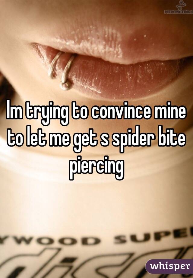 Im trying to convince mine to let me get s spider bite piercing  