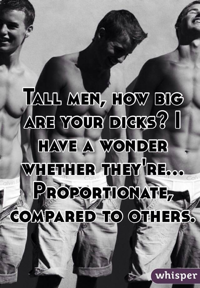 Tall Men How Big Are Your Dicks I Have A Wonder Whether They Re Proportiona...