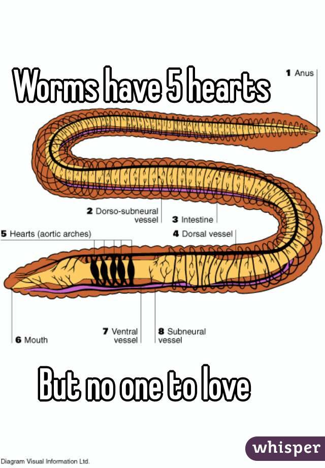 Worms have 5 hearts 





But no one to love