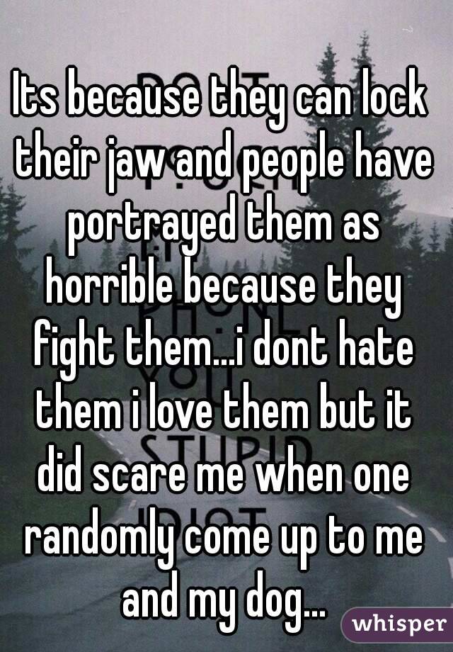 Its because they can lock their jaw and people have portrayed them as horrible because they fight them...i dont hate them i love them but it did scare me when one randomly come up to me and my dog...