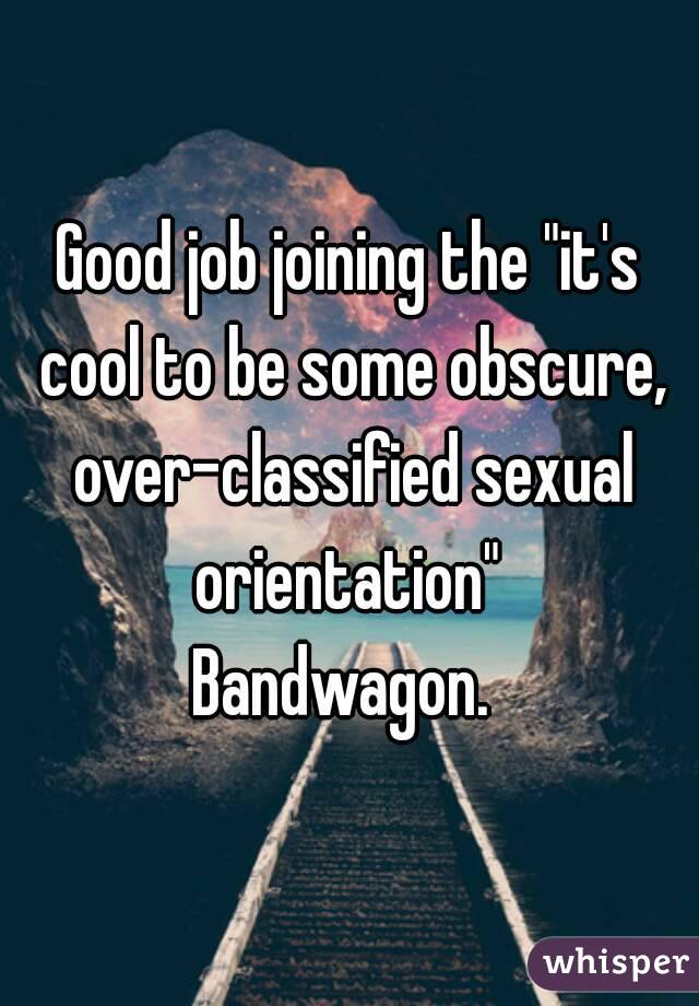 Good job joining the "it's cool to be some obscure, over-classified sexual orientation" 
Bandwagon. 