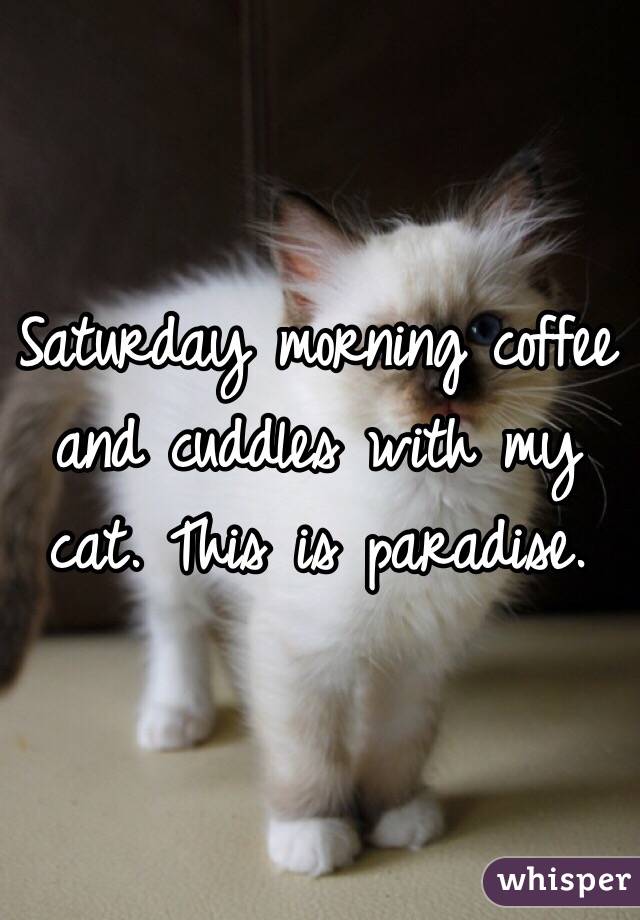 Saturday morning coffee and cuddles with my cat. This is paradise. 