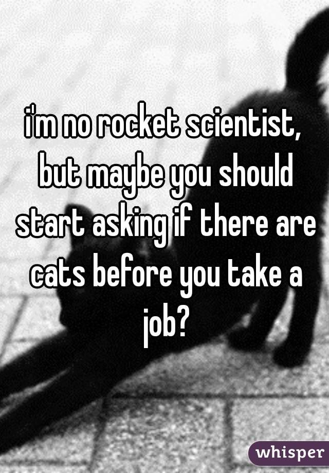 i'm no rocket scientist, but maybe you should start asking if there are cats before you take a job?