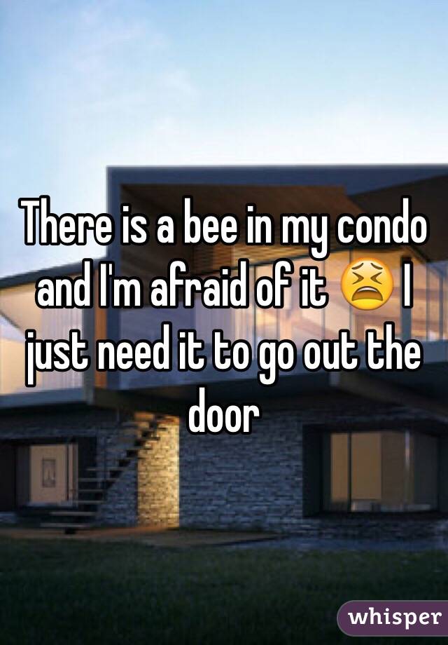 There is a bee in my condo and I'm afraid of it 😫 I just need it to go out the door 