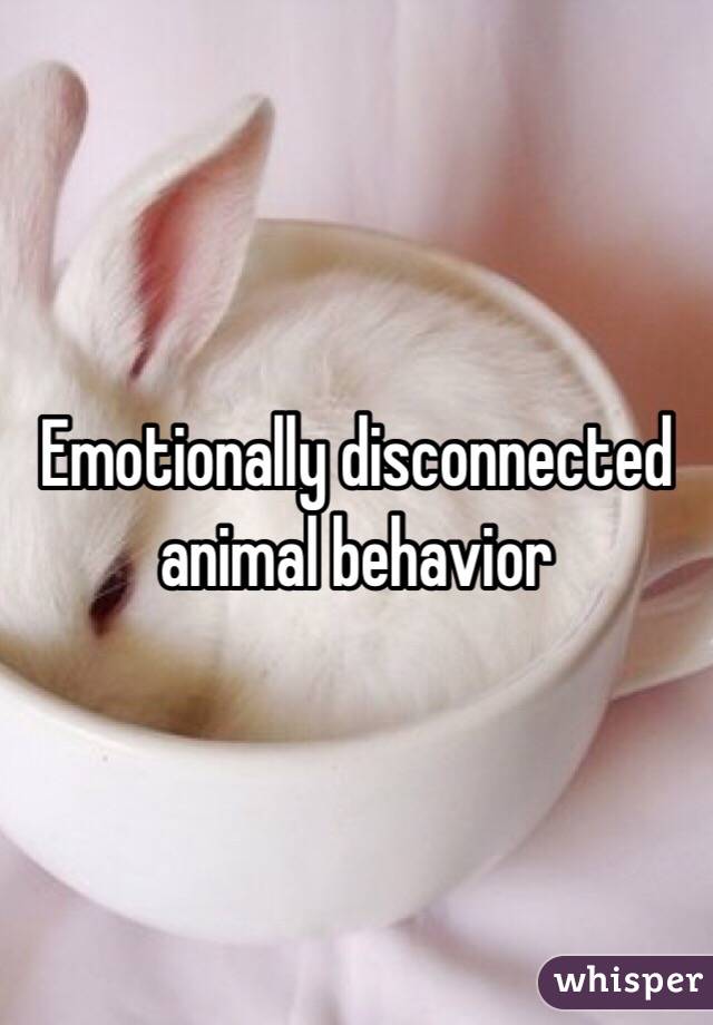 Emotionally disconnected animal behavior 