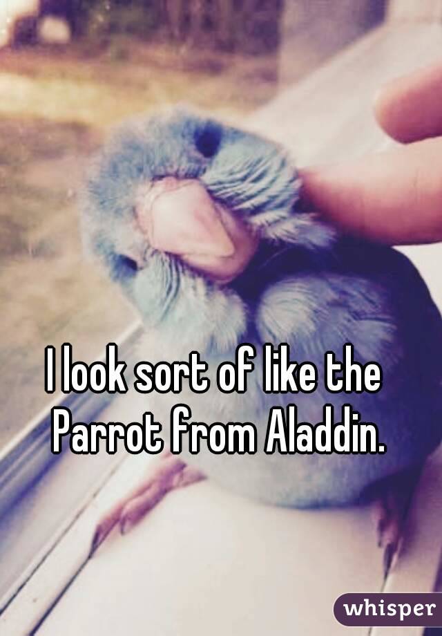 I look sort of like the Parrot from Aladdin.
