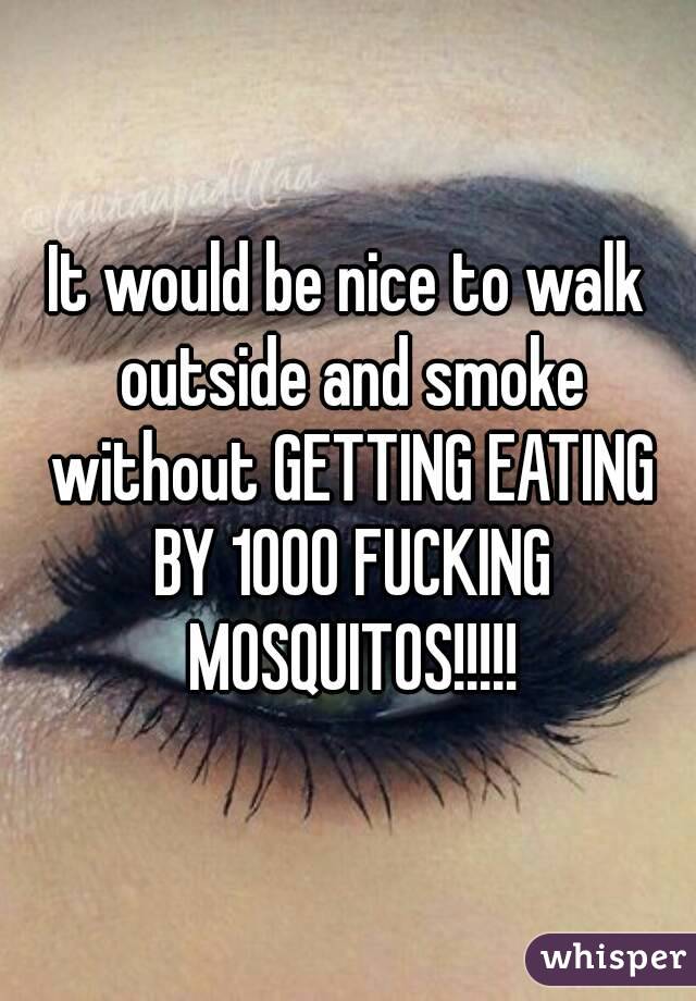 It would be nice to walk outside and smoke without GETTING EATING BY 1000 FUCKING MOSQUITOS!!!!!