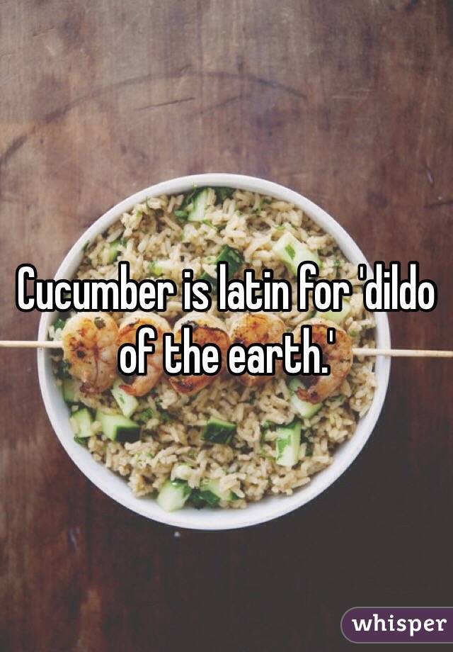 Cucumber is latin for 'dildo of the earth.'
