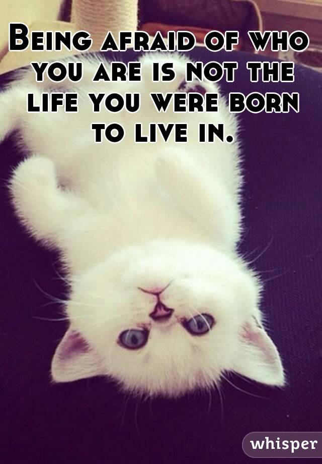 Being afraid of who you are is not the life you were born to live in.