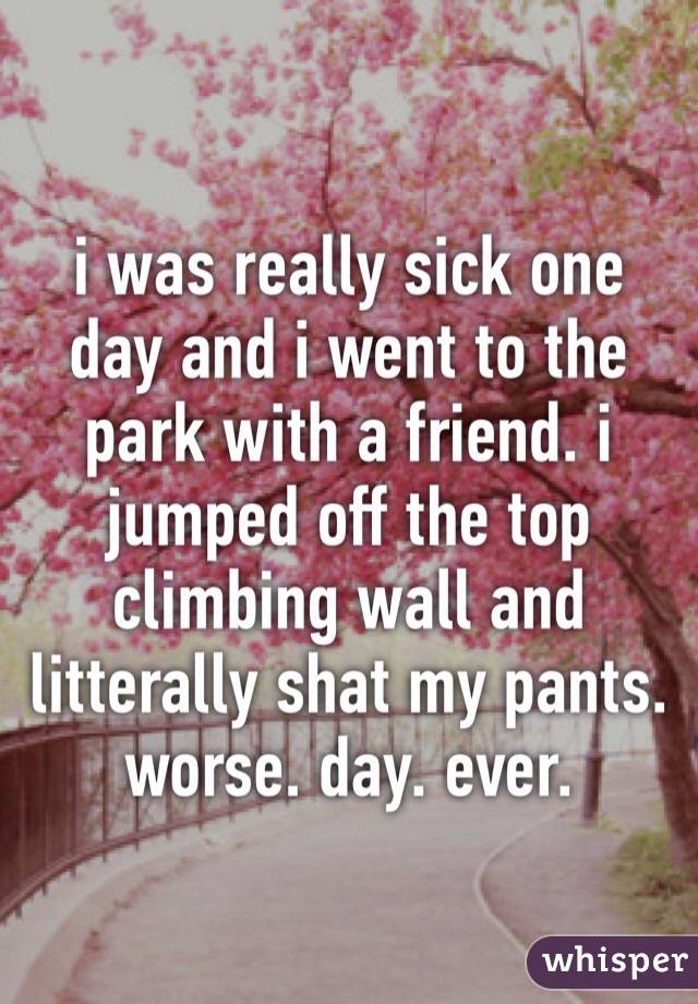 i was really sick one day and i went to the park with a friend. i jumped off the top climbing wall and litterally shat my pants.
worse. day. ever.