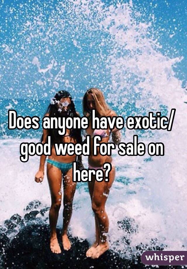Does anyone have exotic/good weed for sale on here?