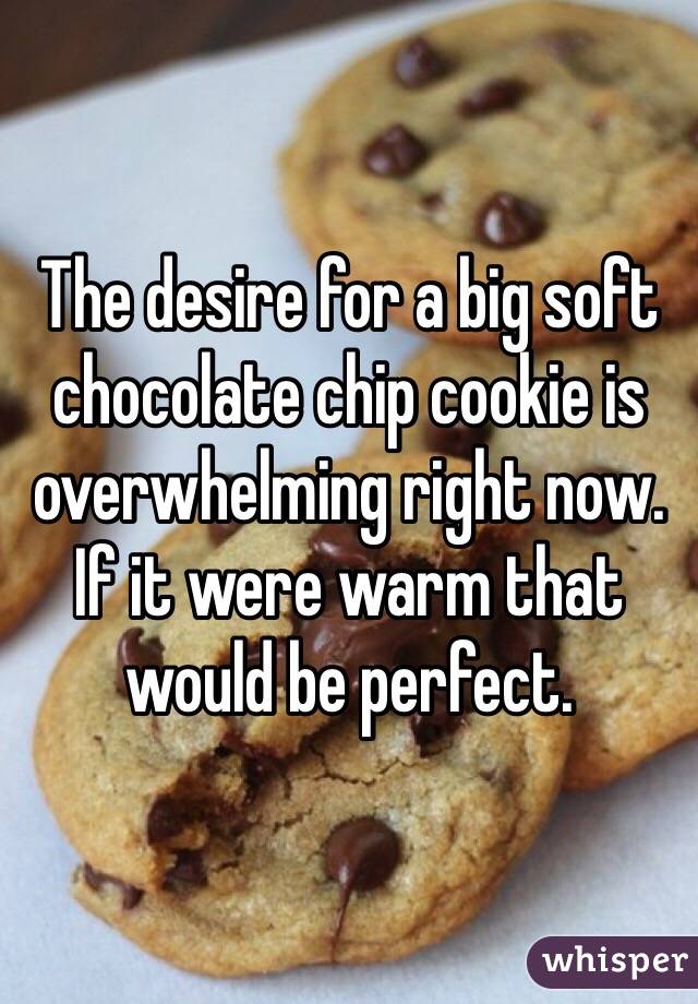 The desire for a big soft chocolate chip cookie is overwhelming right now. If it were warm that would be perfect. 