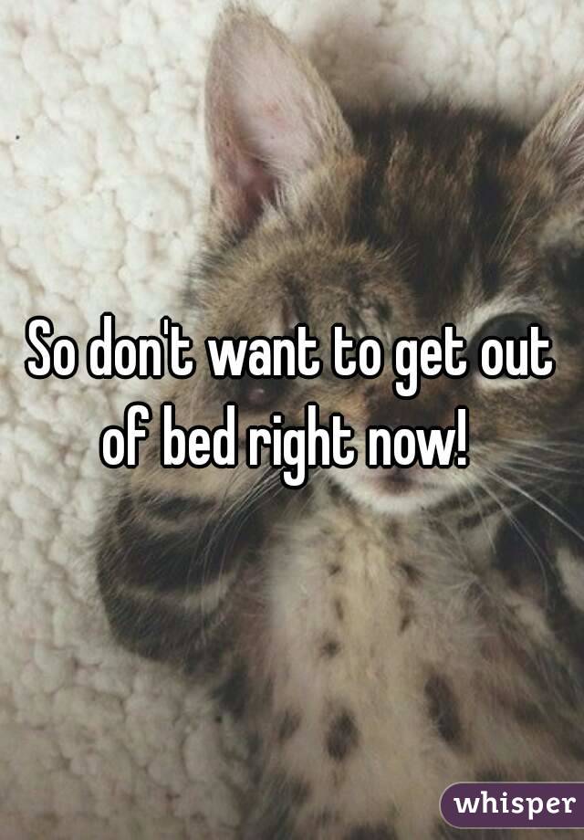 So don't want to get out of bed right now!  