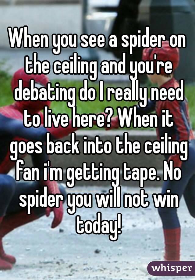 When you see a spider on the ceiling and you're debating do I really need to live here? When it goes back into the ceiling fan i'm getting tape. No spider you will not win today!