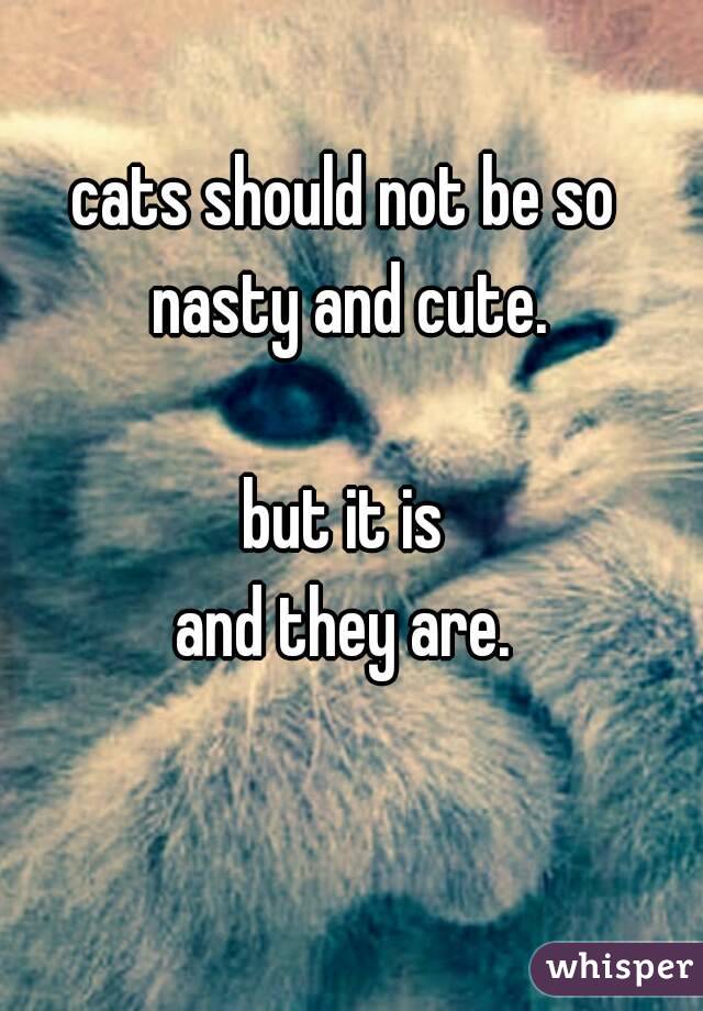 cats should not be so nasty and cute.

but it is
and they are.