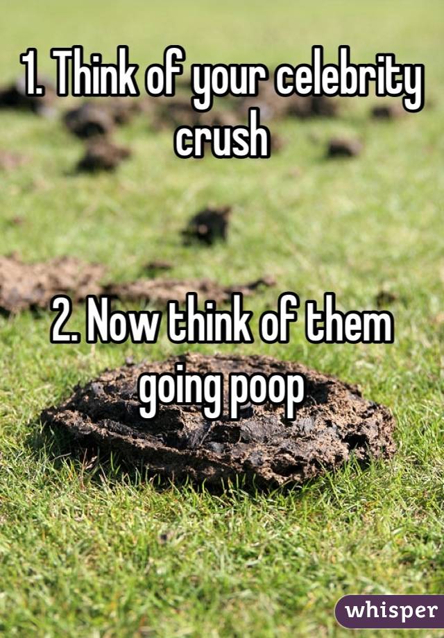1. Think of your celebrity crush


2. Now think of them going poop