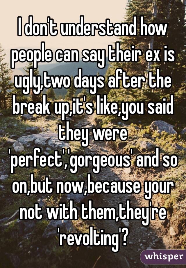 I don't understand how people can say their ex is ugly,two days after the break up,it's like,you said they were 'perfect','gorgeous' and so on,but now,because your not with them,they're 'revolting'? 