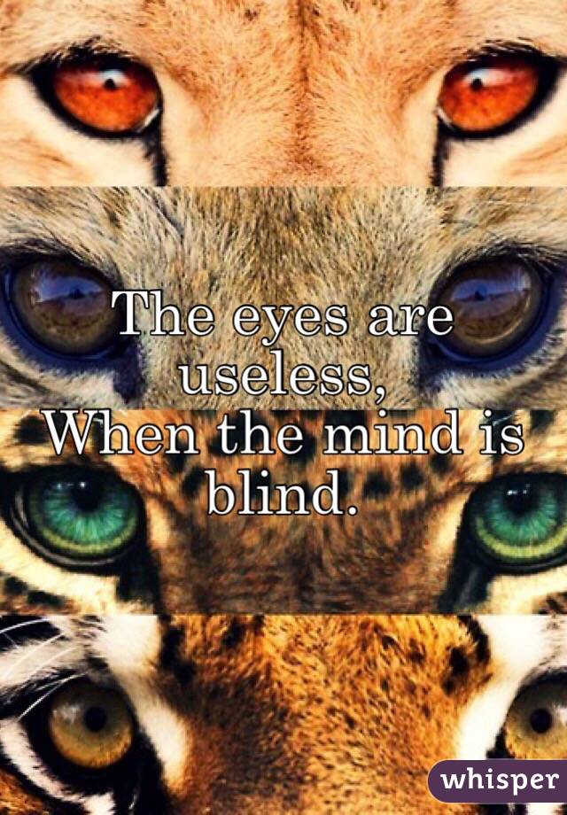 The eyes are useless,
When the mind is blind.
