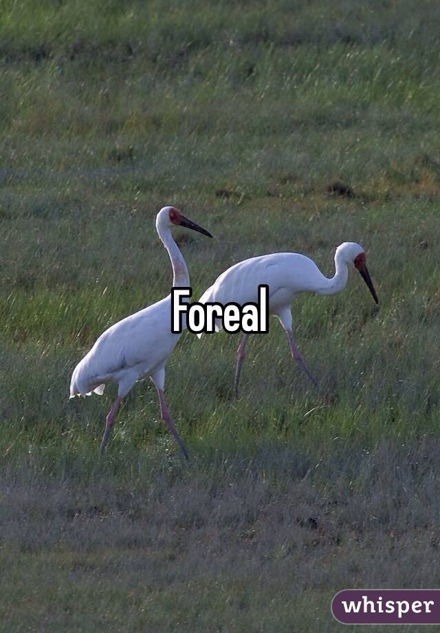 Foreal 