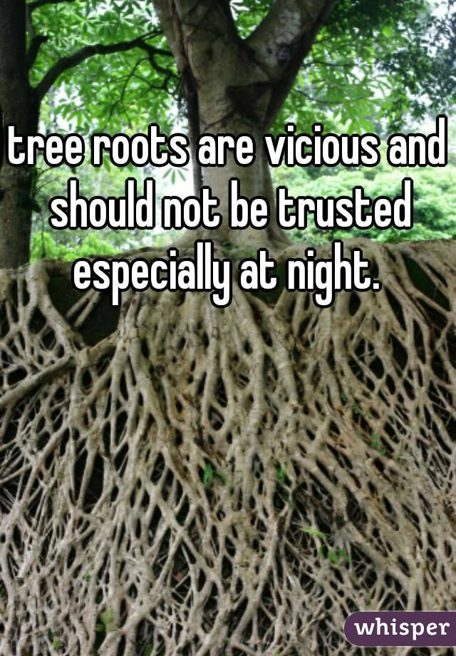 tree roots are vicious and should not be trusted especially at night. 