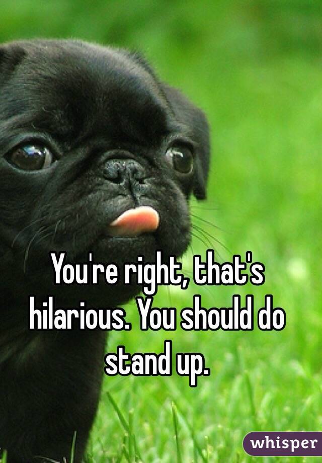 You're right, that's hilarious. You should do stand up.