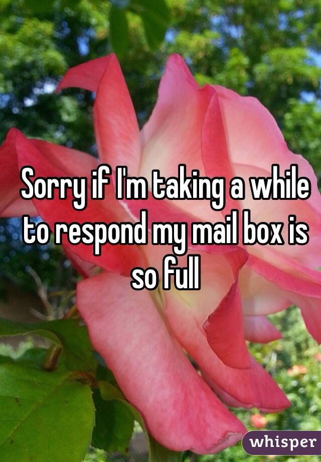 Sorry if I'm taking a while to respond my mail box is so full