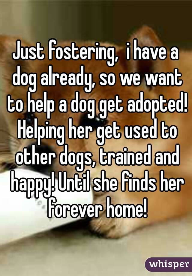 Just fostering,  i have a dog already, so we want to help a dog get adopted! Helping her get used to other dogs, trained and happy! Until she finds her forever home!